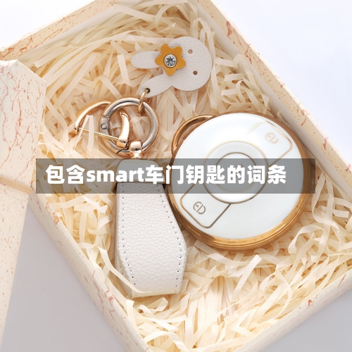 包含smart车门钥匙的词条-第1张图片