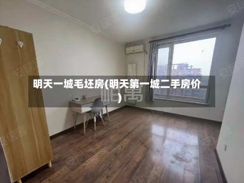 明天一城毛坯房(明天第一城二手房价)-第2张图片