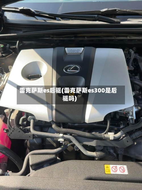 雷克萨斯es后驱(雷克萨斯es300是后驱吗)-第2张图片