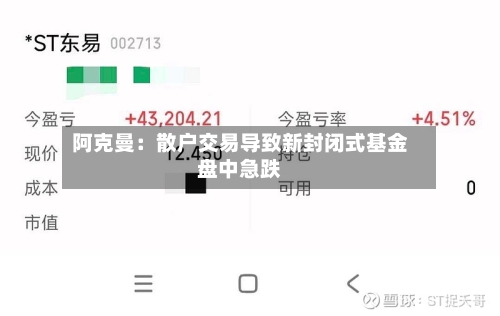 阿克曼：散户交易导致新封闭式基金盘中急跌-第1张图片