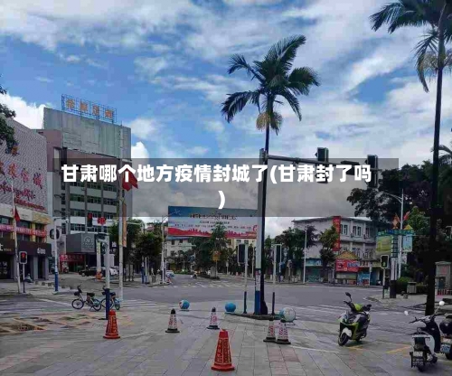 甘肃哪个地方疫情封城了(甘肃封了吗)-第3张图片