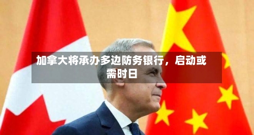 加拿大将承办多边防务银行	，启动或需时日-第1张图片