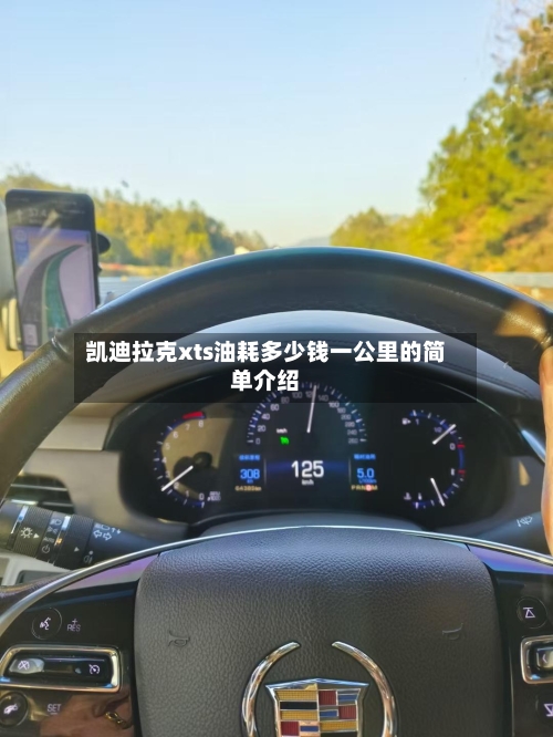 凯迪拉克xts油耗多少钱一公里的简单介绍-第2张图片