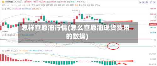 怎样查原油行情(怎么查原油现货费用的数据)-第1张图片