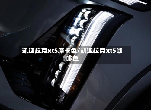 凯迪拉克xt5摩卡色/凯迪拉克xt5咖啡色-第2张图片