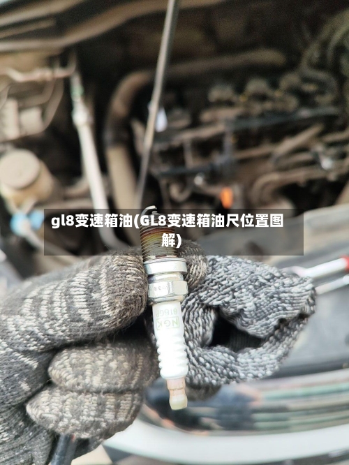 gl8变速箱油(GL8变速箱油尺位置图解)-第2张图片