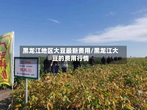黑龙江地区大豆最新费用/黑龙江大豆的费用行情-第2张图片
