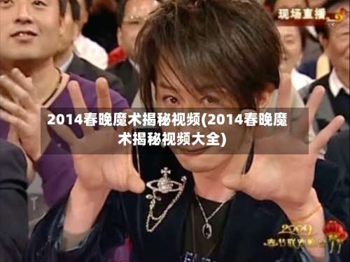 2014春晚魔术揭秘视频(2014春晚魔术揭秘视频大全)-第2张图片