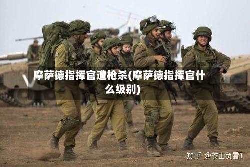 摩萨德指挥官遭枪杀(摩萨德指挥官什么级别)-第2张图片