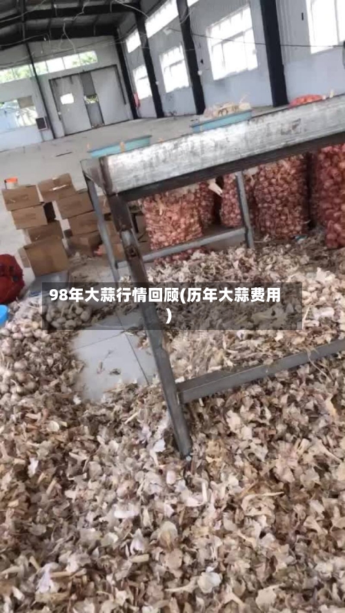 98年大蒜行情回顾(历年大蒜费用)-第1张图片