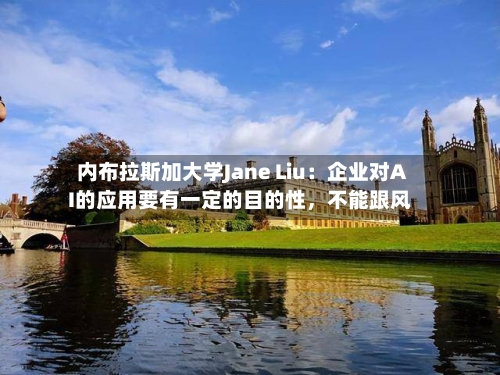 内布拉斯加大学Jane Liu：企业对AI的应用要有一定的目的性	，不能跟风-第2张图片
