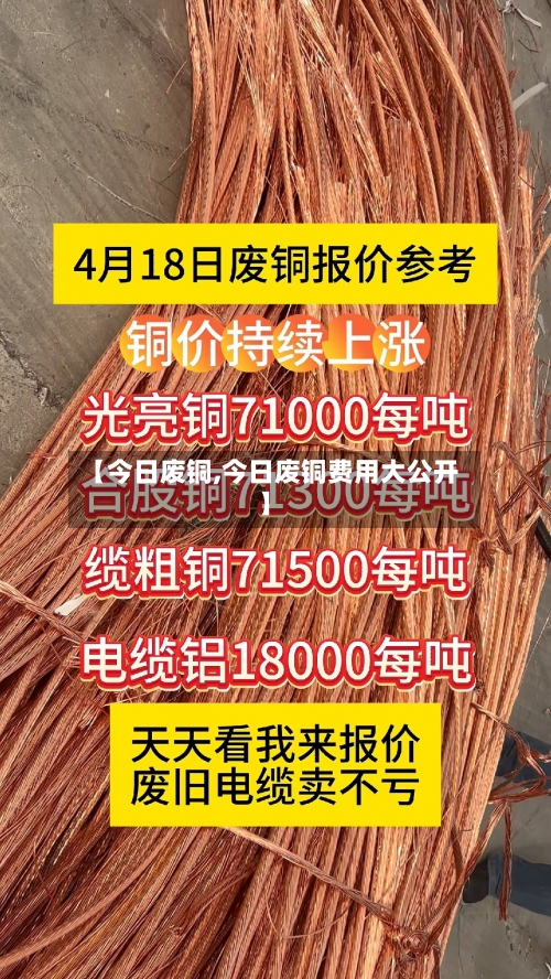 【今日废铜,今日废铜费用大公开】-第2张图片