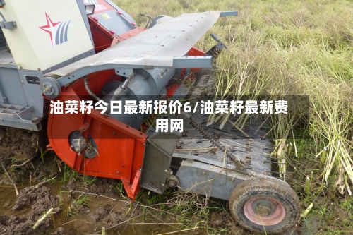 油菜籽今日最新报价6/油菜籽最新费用网-第2张图片