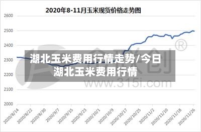 湖北玉米费用行情走势/今日湖北玉米费用行情-第2张图片