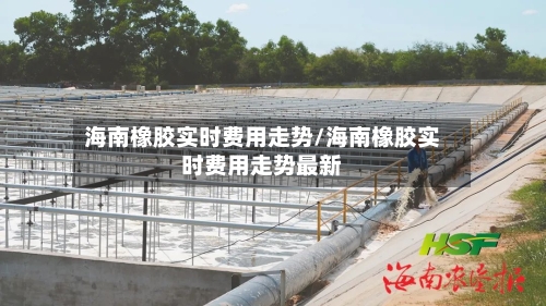 海南橡胶实时费用走势/海南橡胶实时费用走势最新-第2张图片