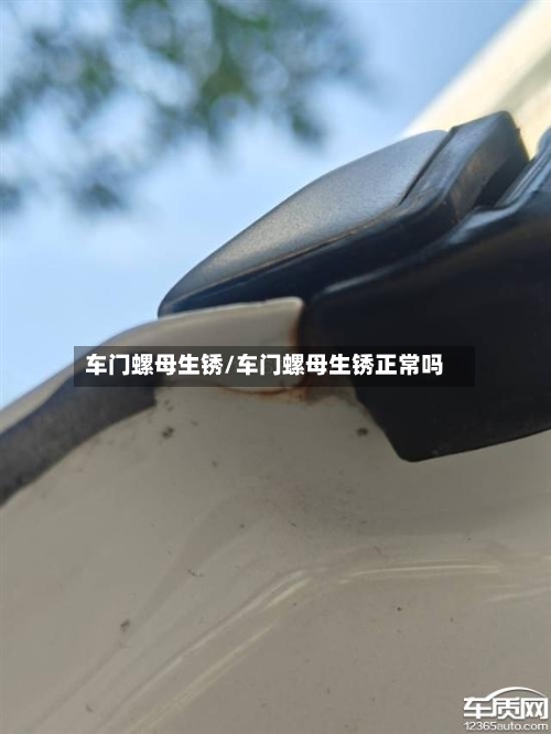 车门螺母生锈/车门螺母生锈正常吗-第2张图片