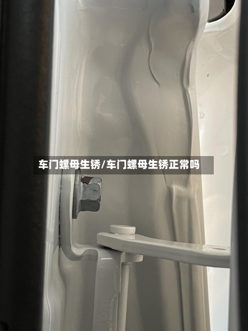 车门螺母生锈/车门螺母生锈正常吗-第1张图片
