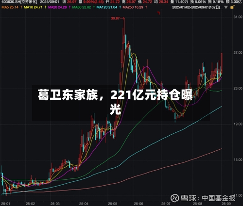葛卫东家族，221亿元持仓曝光-第3张图片