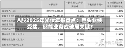 A股2025年光伏年报盘点：巨头业绩受挫，储能业务成破局关键？-第3张图片