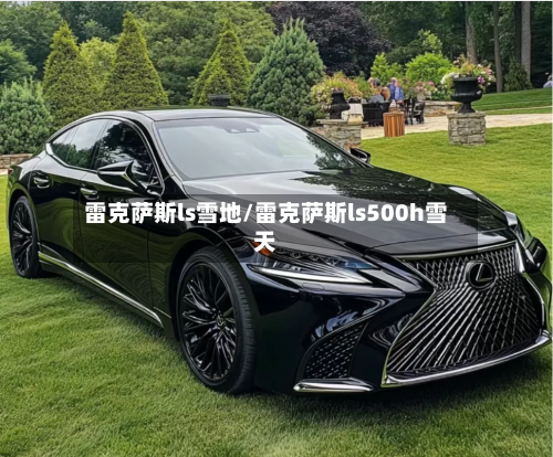 雷克萨斯ls雪地/雷克萨斯ls500h雪天-第3张图片