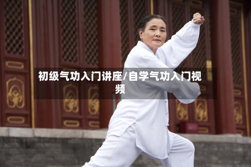 初级气功入门讲座/自学气功入门视频-第2张图片