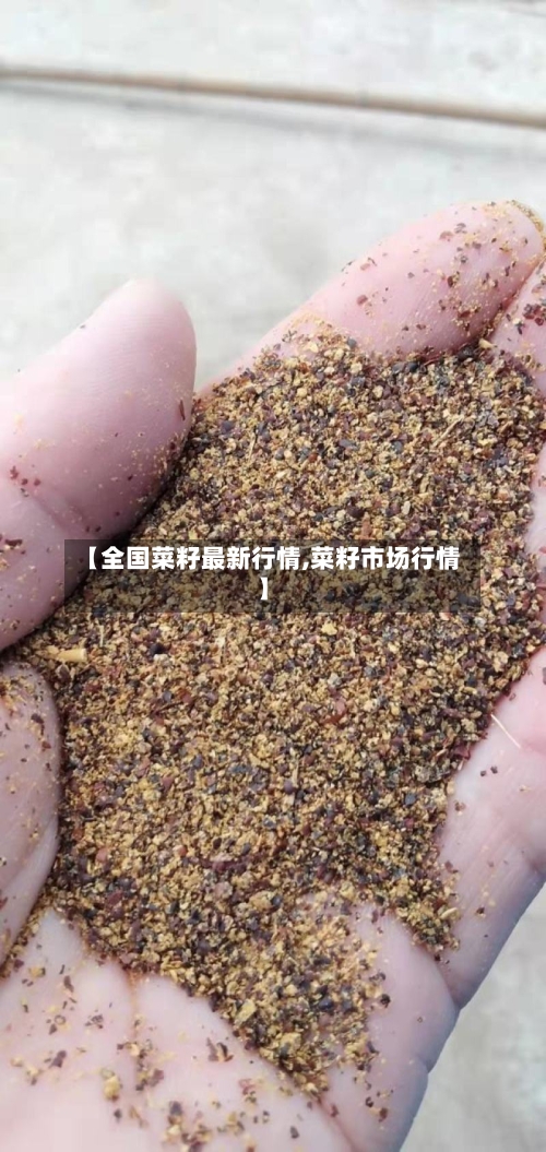 【全国菜籽最新行情,菜籽市场行情】-第1张图片