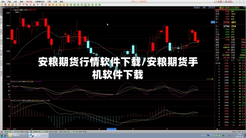 安粮期货行情软件下载/安粮期货手机软件下载-第1张图片