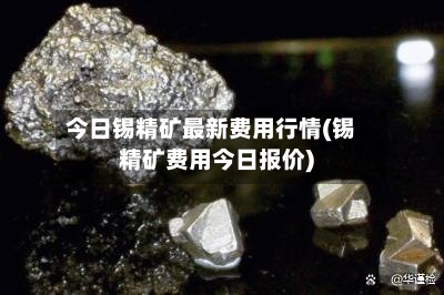 今日锡精矿最新费用行情(锡精矿费用今日报价)-第1张图片