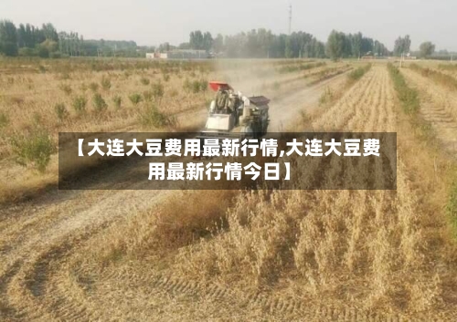 【大连大豆费用最新行情,大连大豆费用最新行情今日】-第1张图片