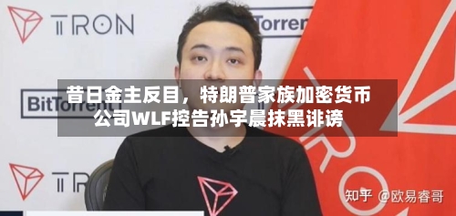 昔日金主反目，特朗普家族加密货币公司WLF控告孙宇晨抹黑诽谤-第1张图片
